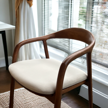 Modern coloured best sale dining chairs